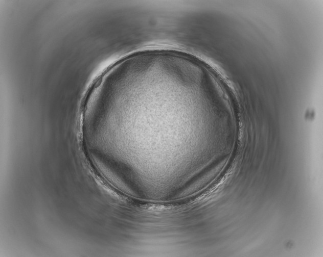 X0000094811366200711301542