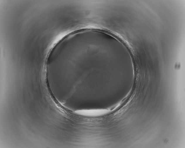 X0000094811367200711301542