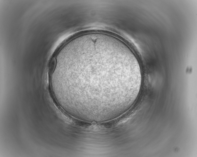 X0000094811368200711301542