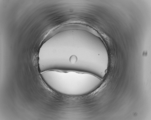 X0000094811369200711301542