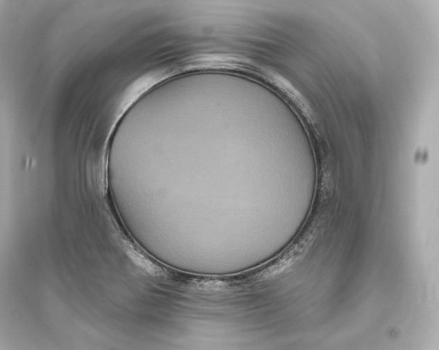 X0000094811370200711301542