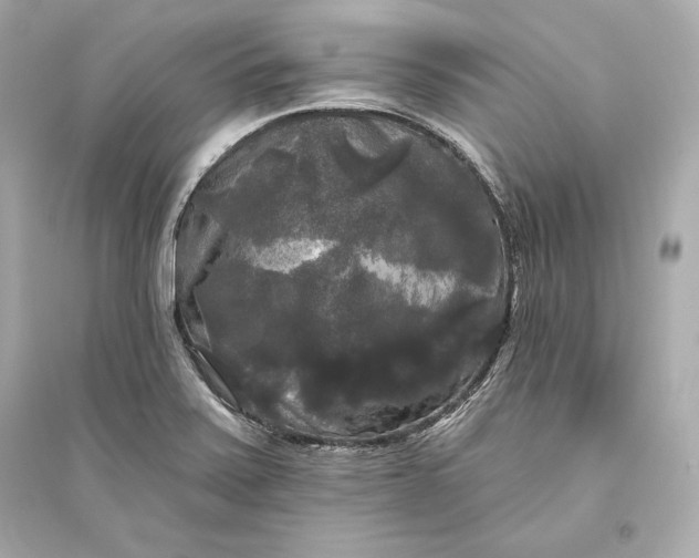 X0000094811371200711301542