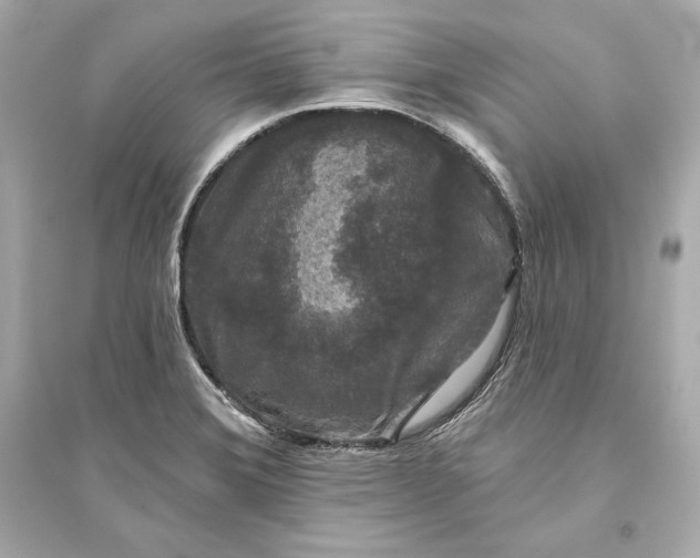 X0000094811372200711301542