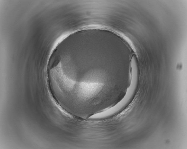 X0000094811373200711301542