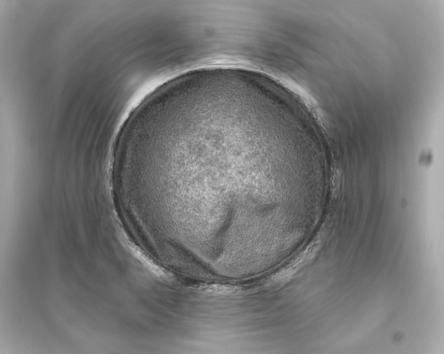 X0000094811374200711301542