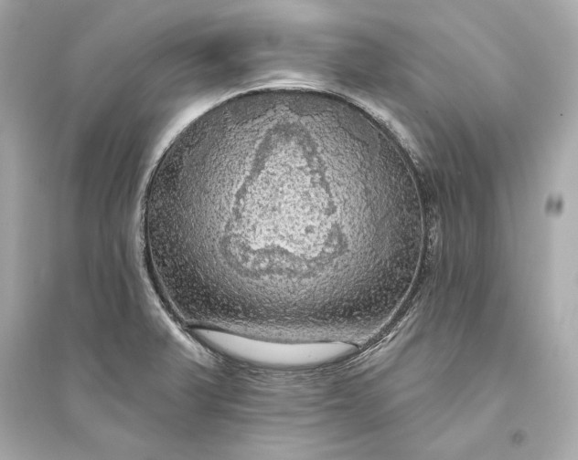 X0000094811375200711301542