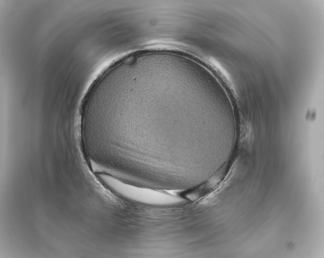 X0000094811376200711301542