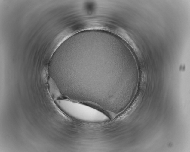 X0000094811377200711301542