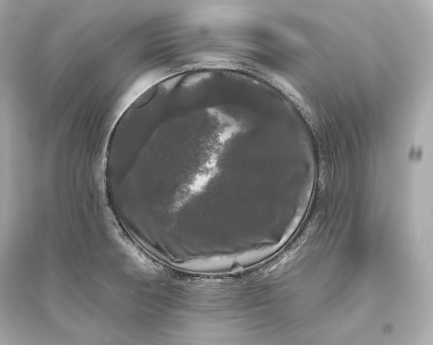 X0000094811378200711301542