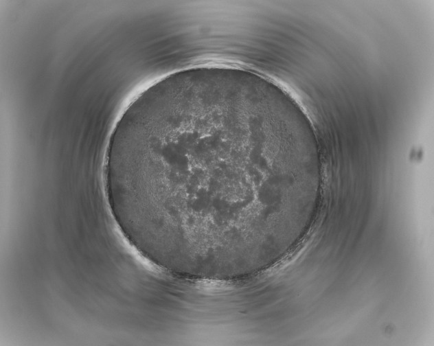 X0000094811379200711301542