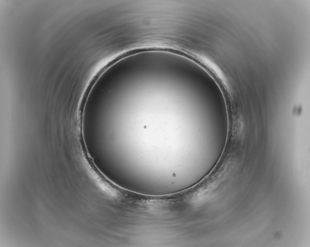 X0000094811380200711301542