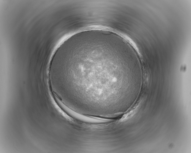 X0000094811381200711301542