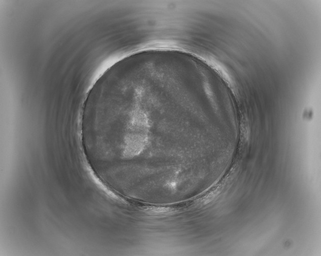 X0000094811382200711301542