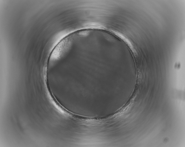 X0000094811383200711301542