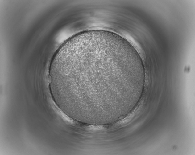 X0000094811384200711301542