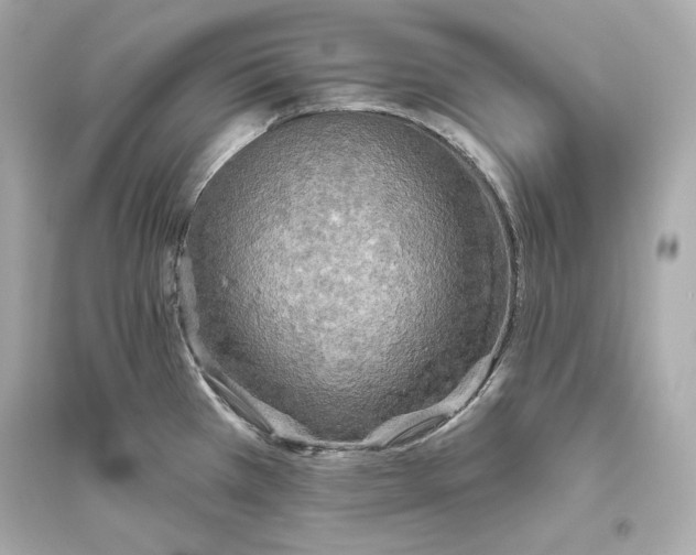 X0000094811385200711301542