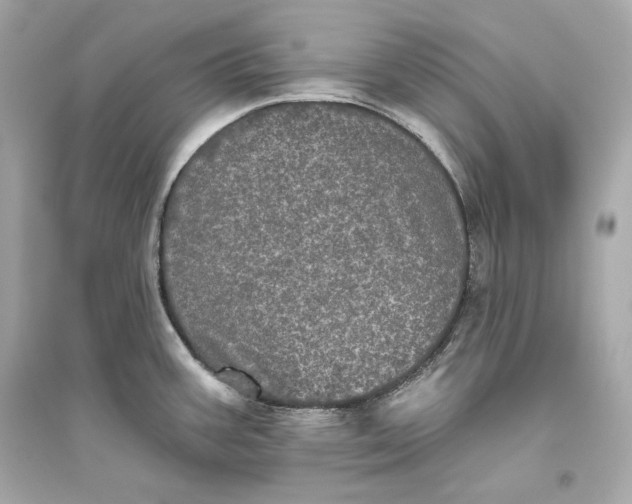 X0000094811387200711301542