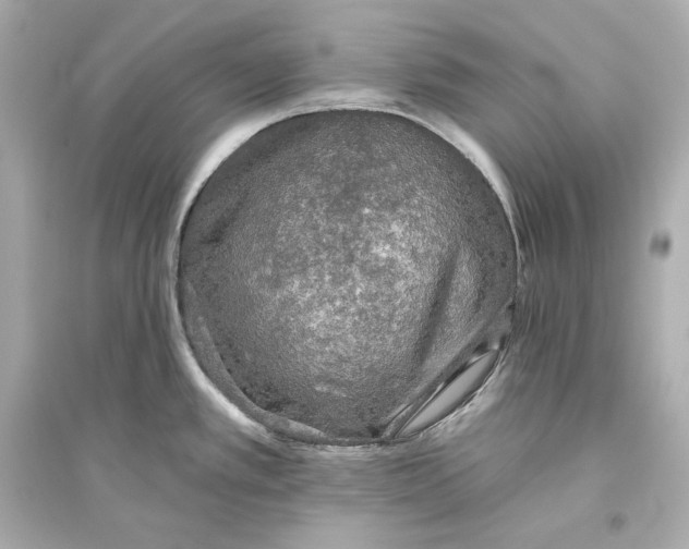 X0000094811389200711301542