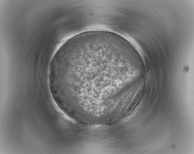 X0000094811390200711301542