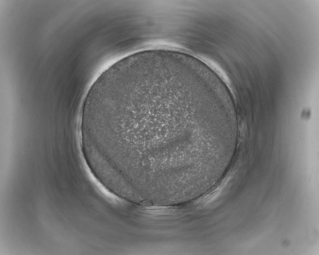 X0000094811391200711301542