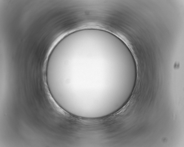 X0000094811392200711301542