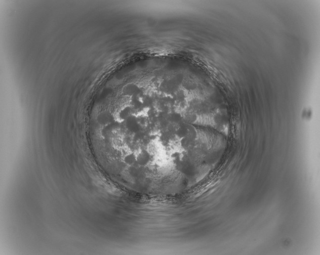 X0000094811393200711301541