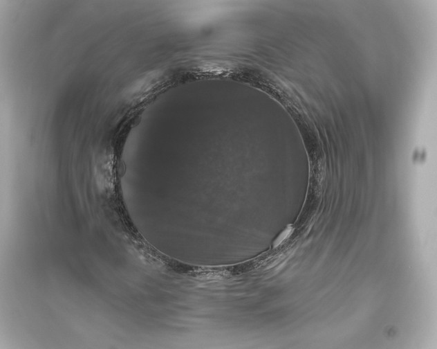 X0000094811394200711301541