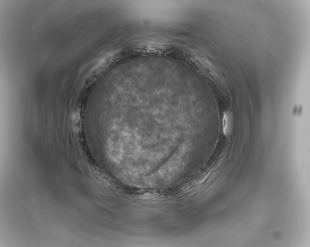 X0000094811395200711301541