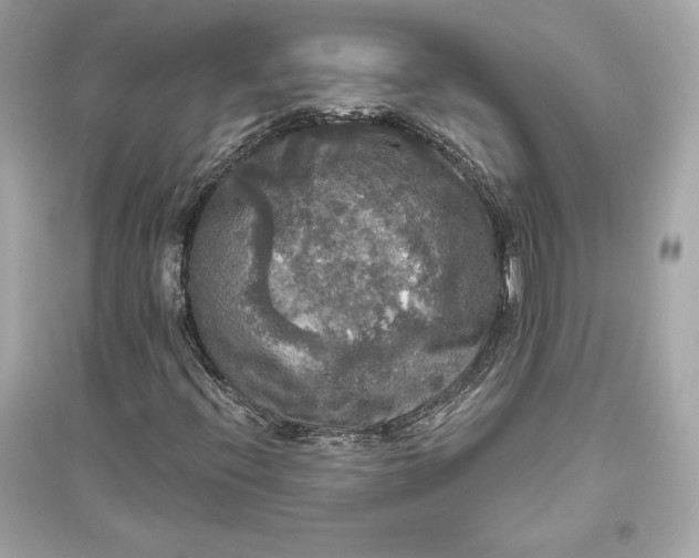 X0000094811396200711301541