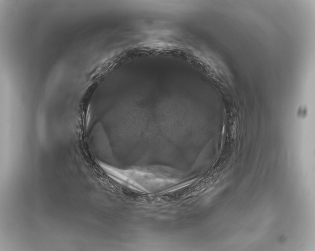 X0000094811397200711301541