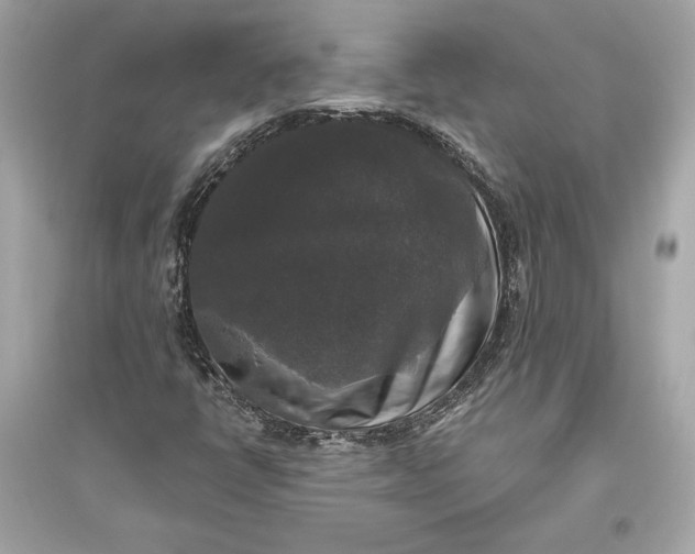 X0000094811398200711301541