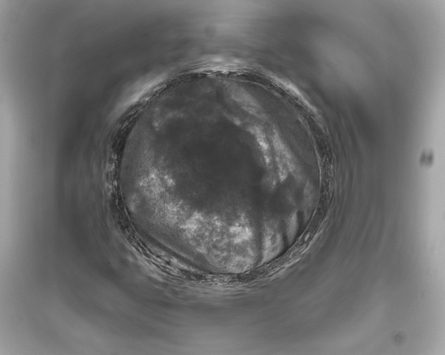 X0000094811399200711301541