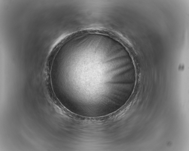 X0000094811400200711301541