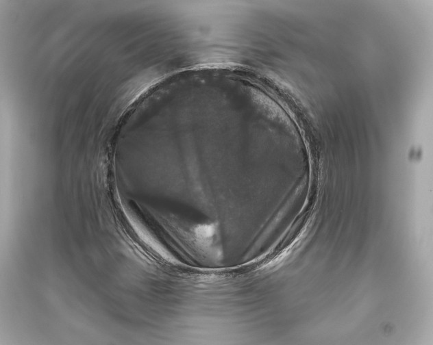 X0000094811401200711301541