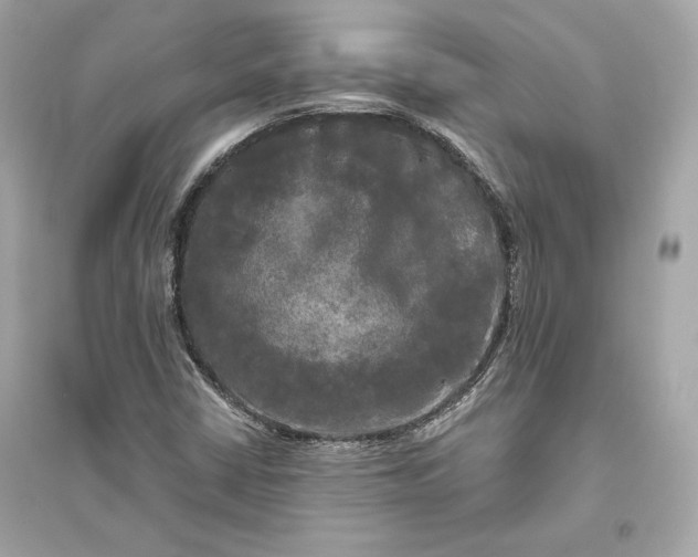 X0000094811402200711301541