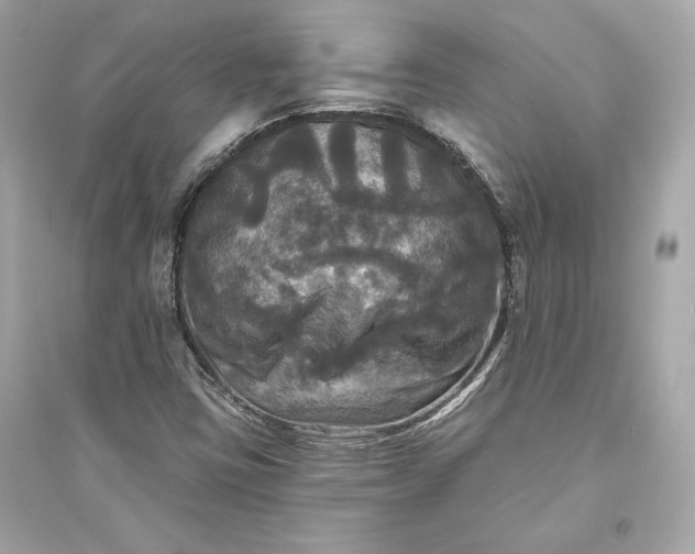 X0000094811403200711301541