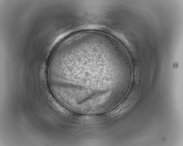 X0000094811404200711301541