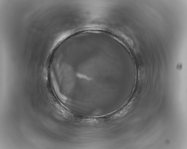 X0000094811405200711301541