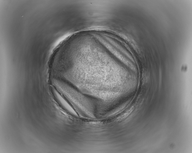 X0000094811406200711301541