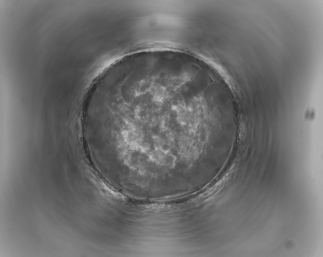 X0000094811407200711301541