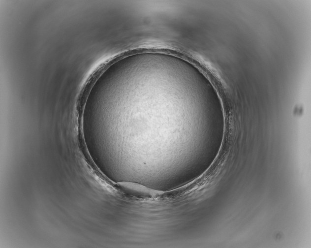 X0000094811408200711301541