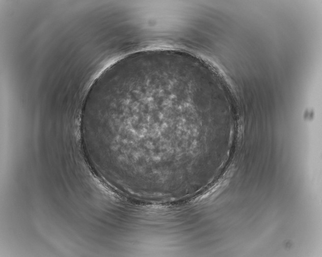 X0000094811409200711301541