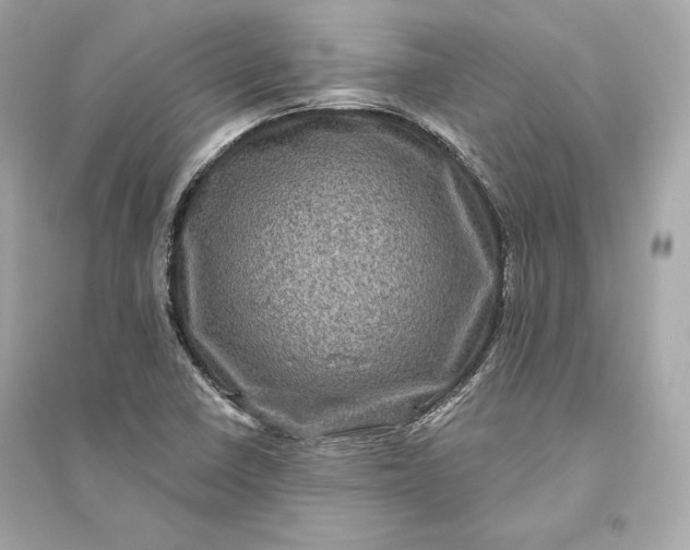 X0000094811410200711301541