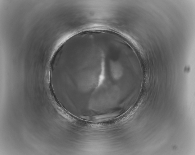 X0000094811413200711301541