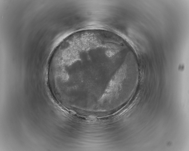 X0000094811415200711301541