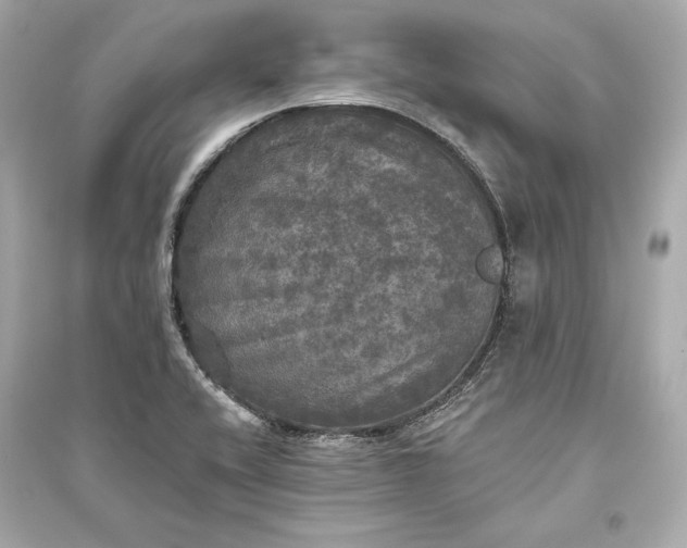 X0000094811416200711301541