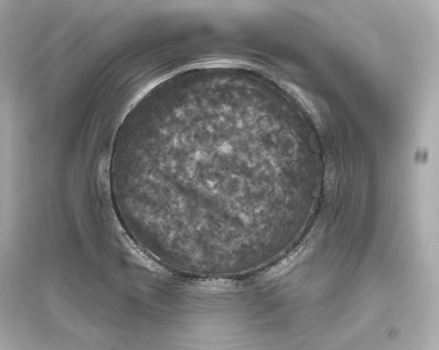 X0000094811417200711301541