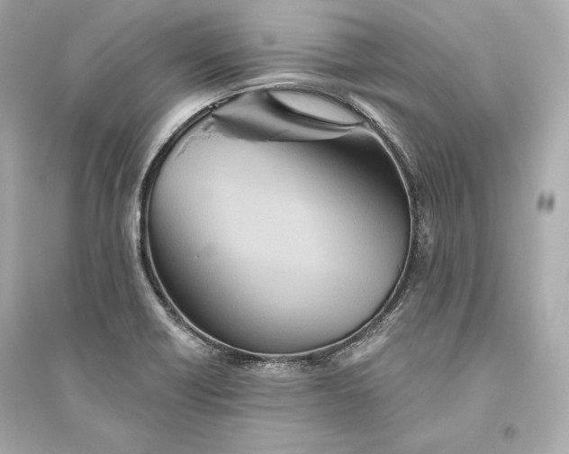 X0000094811418200711301541