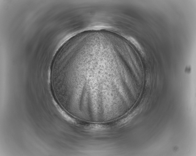 X0000094811420200711301541