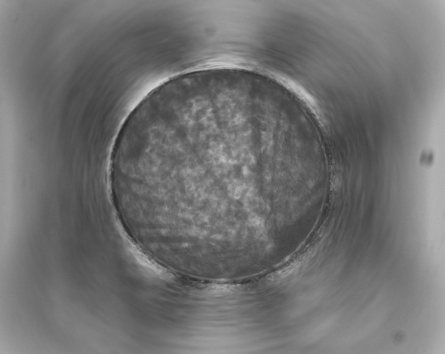 X0000094811423200711301541